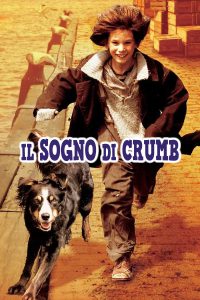 Il sogno di Crumb (1999)